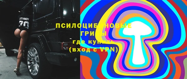 МДПВ Нязепетровск
