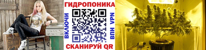 Бошки марихуана Ganja  кракен как войти  даркнет какой сайт  наркота  Нахабино 